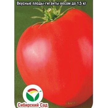 tomat-byche-serdce-gigant