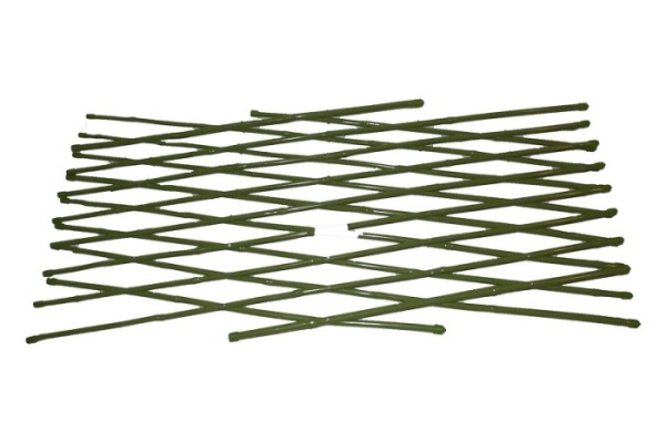 e498ddb66e871f5c85b1df9fe18db820