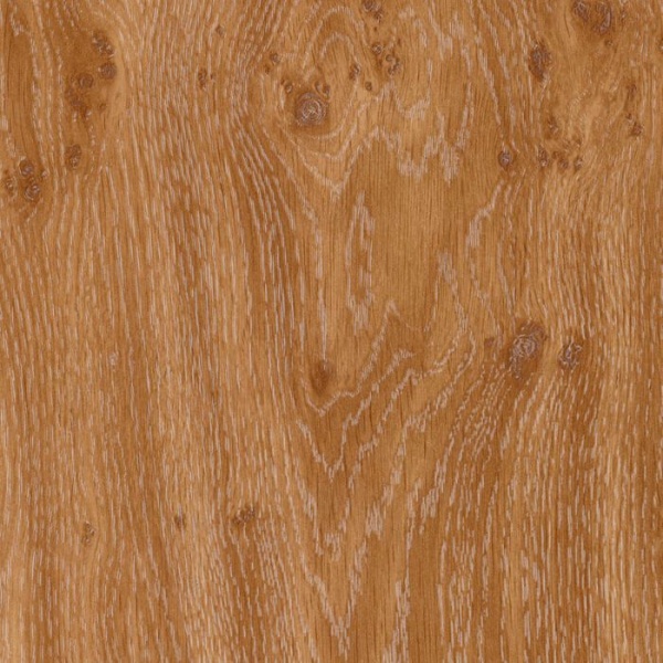 w908-dub-suchkovatyy-temnyy